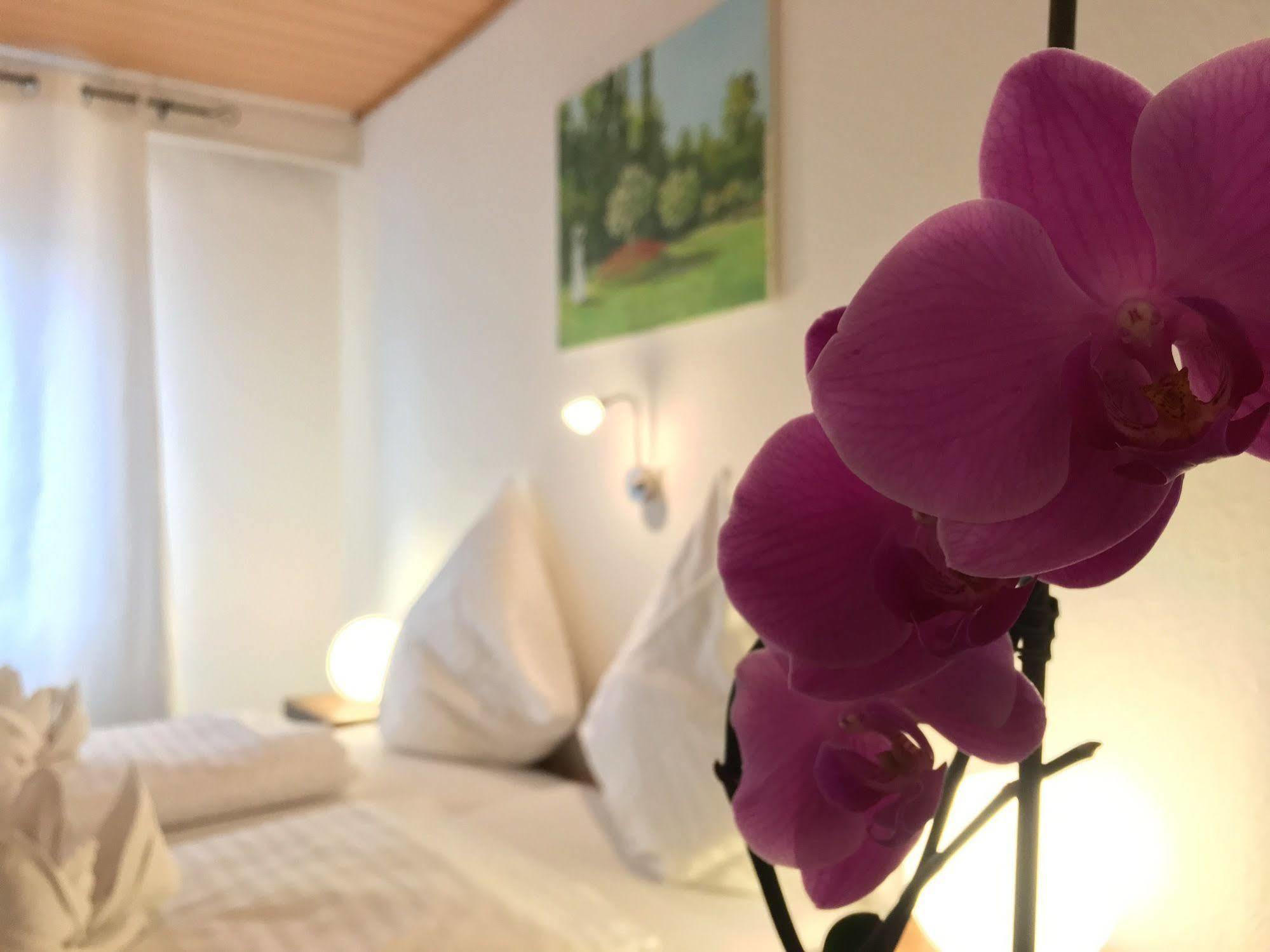 City Hotel Diez Диц Экстерьер фото